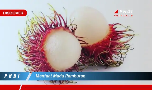 Content image for Manfaat Madu Rambutan