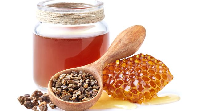 Content image for Manfaat Madu Propolis Bagi Tubuh